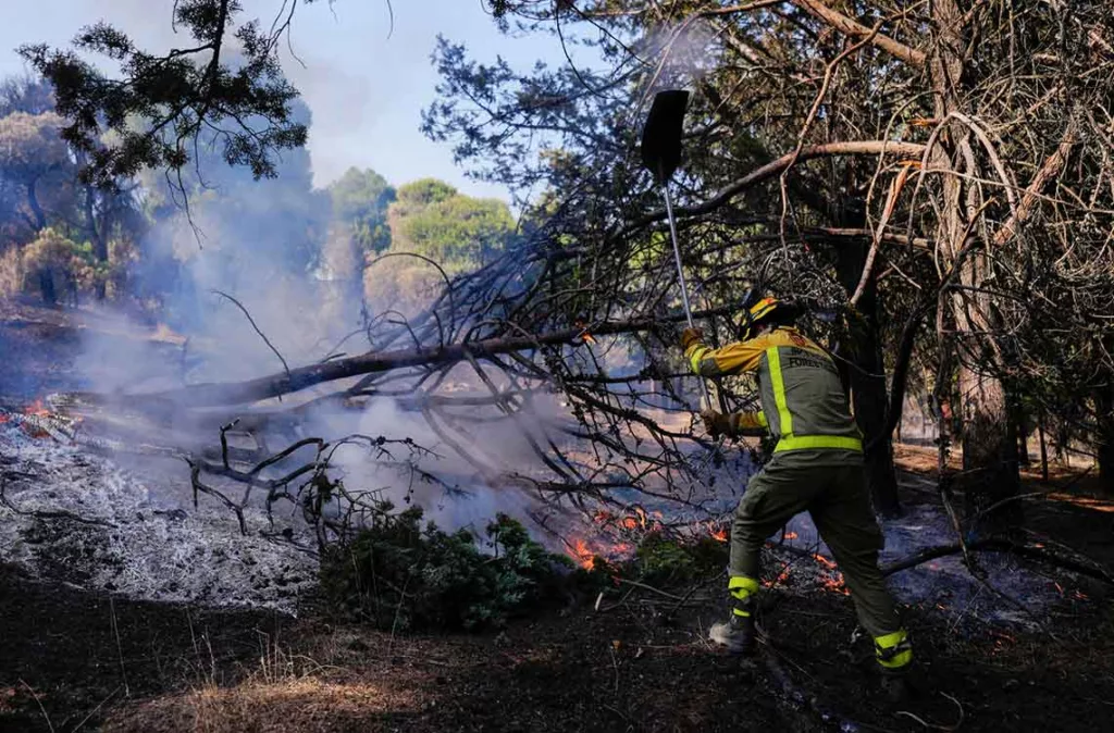 Incendios forestales en España muestran una evolución favorable