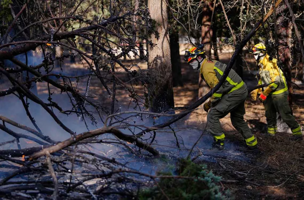 Incendios forestales en España muestran una evolución favorable