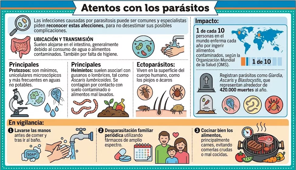 Infografia Parasitosis