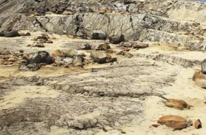 Terremotos en Venezuela impactaron la geología costera en el suroeste de Trinidad y Tobago