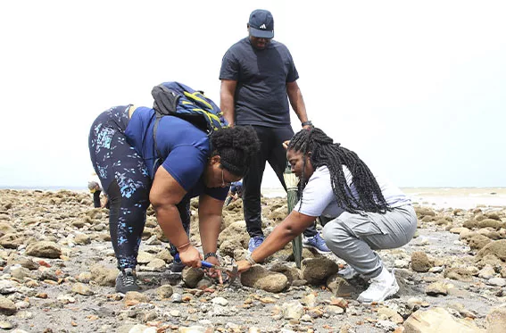 Terremotos en Venezuela impactaron la geología costera en el suroeste de Trinidad y Tobago