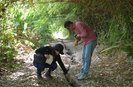 Veroes: un suelo marcado por la fragilidad
