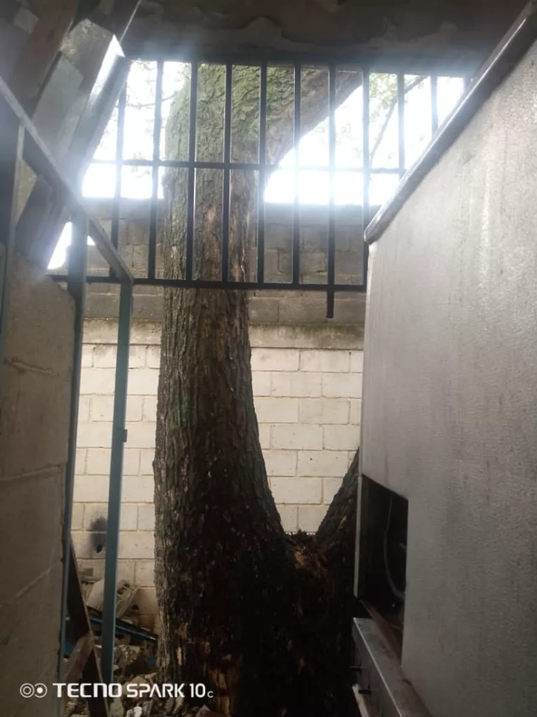 Escuela Veragacha