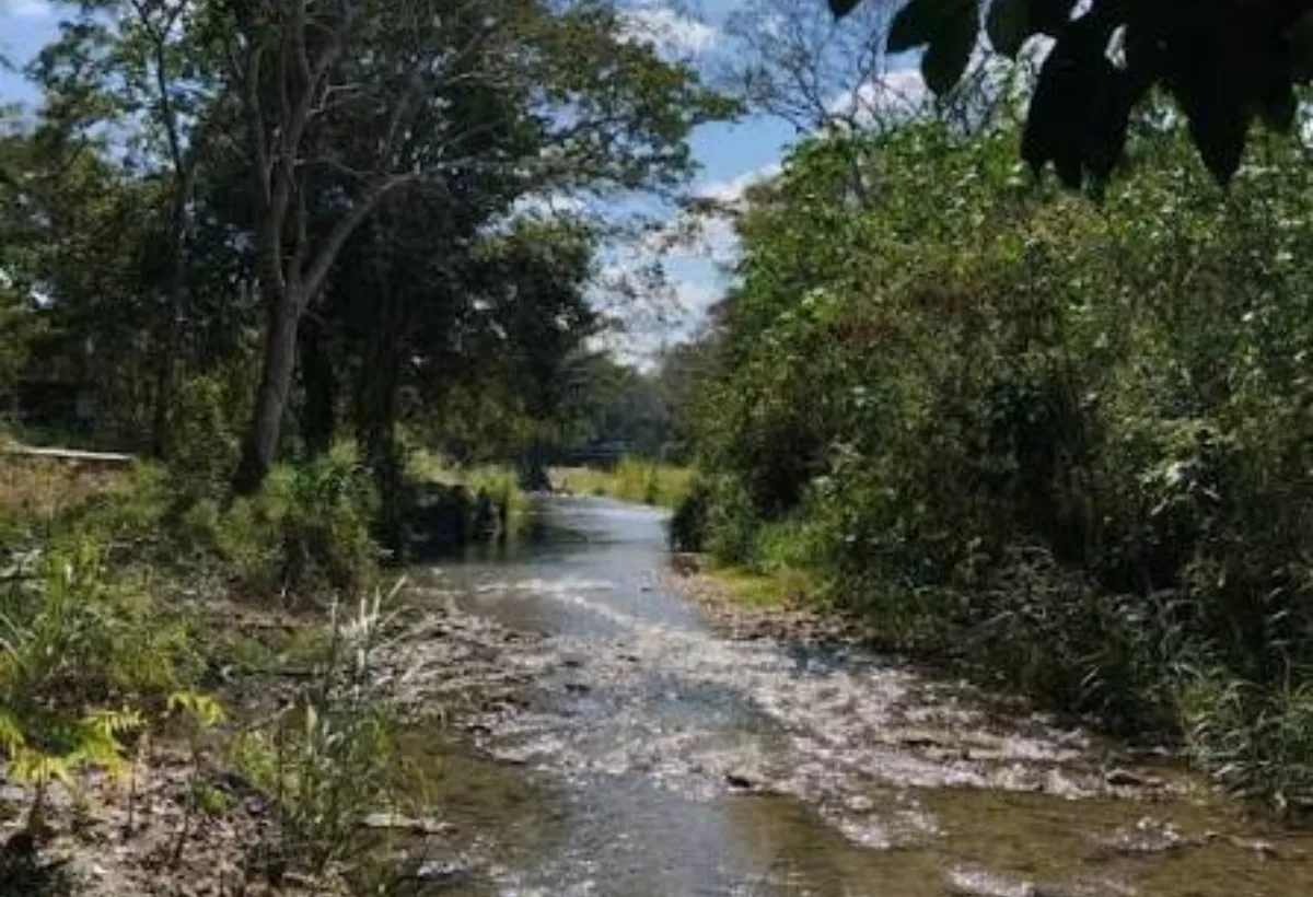 Crecida del Río La Miel en Simón Planas