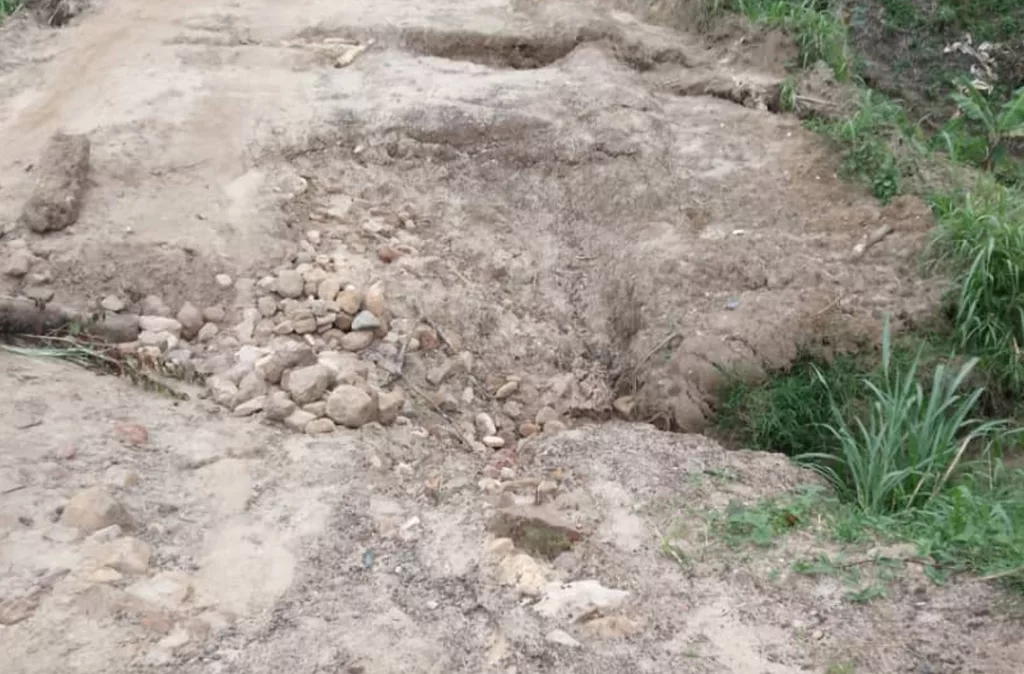 Cosechas de café y hortalizas en riesgo por daño vial en Morán