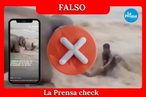 Es falso que este video muestre a un hombre siendo rescatado por un elefante en Nepal