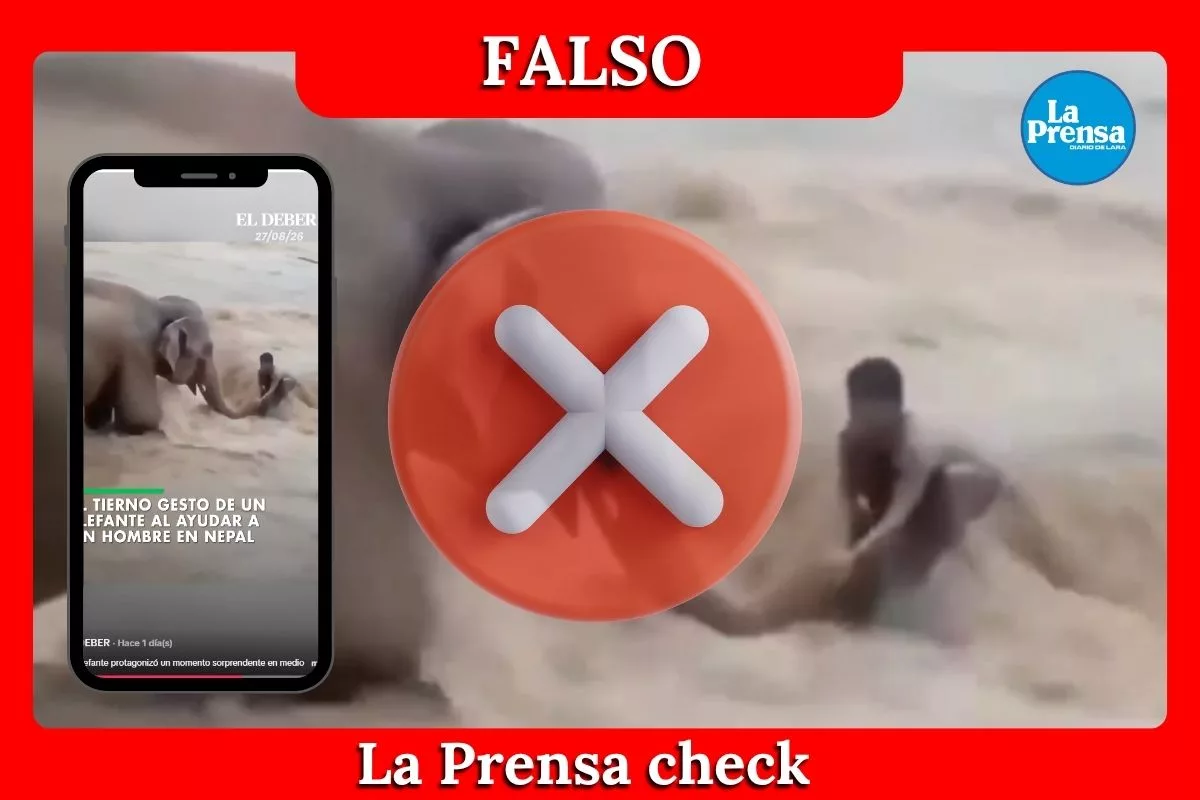 Es falso que este video muestre a un hombre siendo rescatado por un elefante en Nepal
