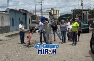 Guaro Mirón: Invilara dejó un Sahara en plena metrópolis