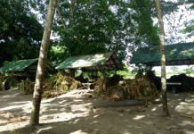 ONG exige al Gobierno inspección técnica por daños tras inundaciones en Yaracuy 