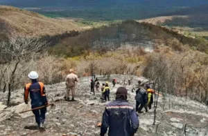 Incendio forestal afectó 300 hectáreas en Sicarigua