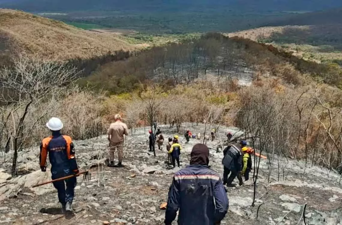 Incendio forestal afectó 300 hectáreas en Sicarigua