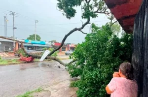 Onda Tropical 41 deja daños materiales en Monagas