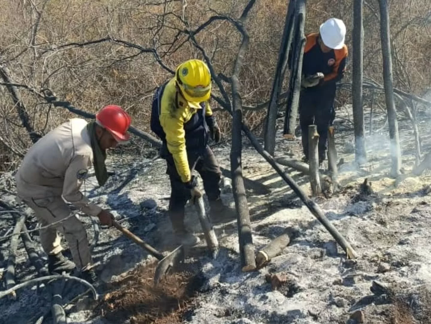 Combaten incendio forestal en Sicarigua