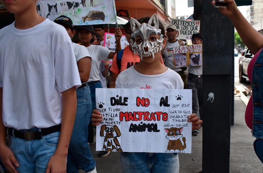 maltrato 1