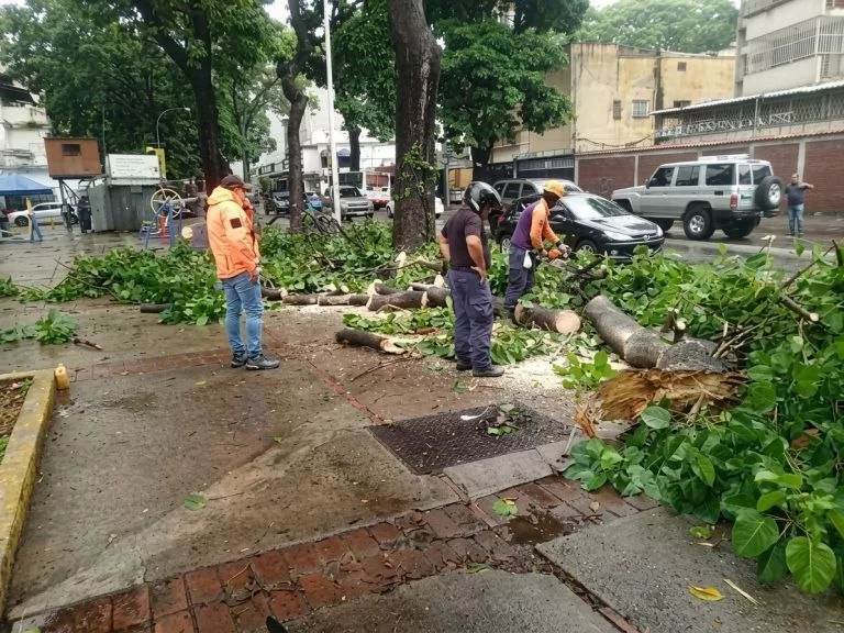 Carmen Meléndez: Lluvias afectaron todas las parroquias de Caracas