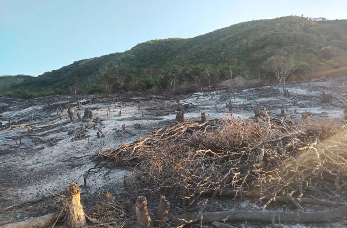 Deforestación amenaza el páramo Santa Lucía en el estado Lara