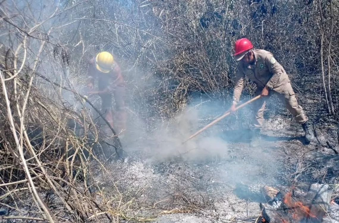 Incendio forestal en el municipio Torres deja unas 180 hectáreas afectadas