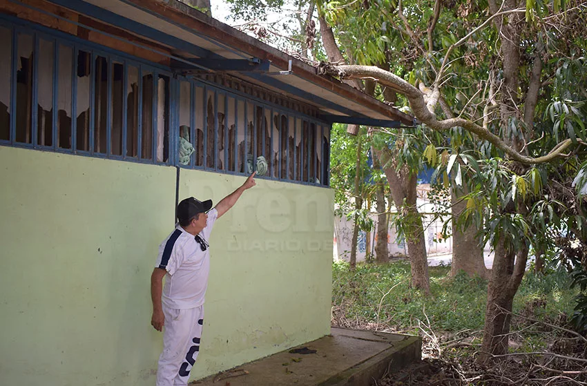 Vecinos de El Ujano piden celeridad en poda de árboles  