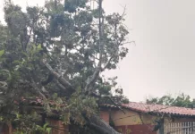 Múltiples afectaciones en Barquisimeto debido a las lluvias y a los fuertes vientos que azotaron a la ciudad este jueves 03 de septiembre