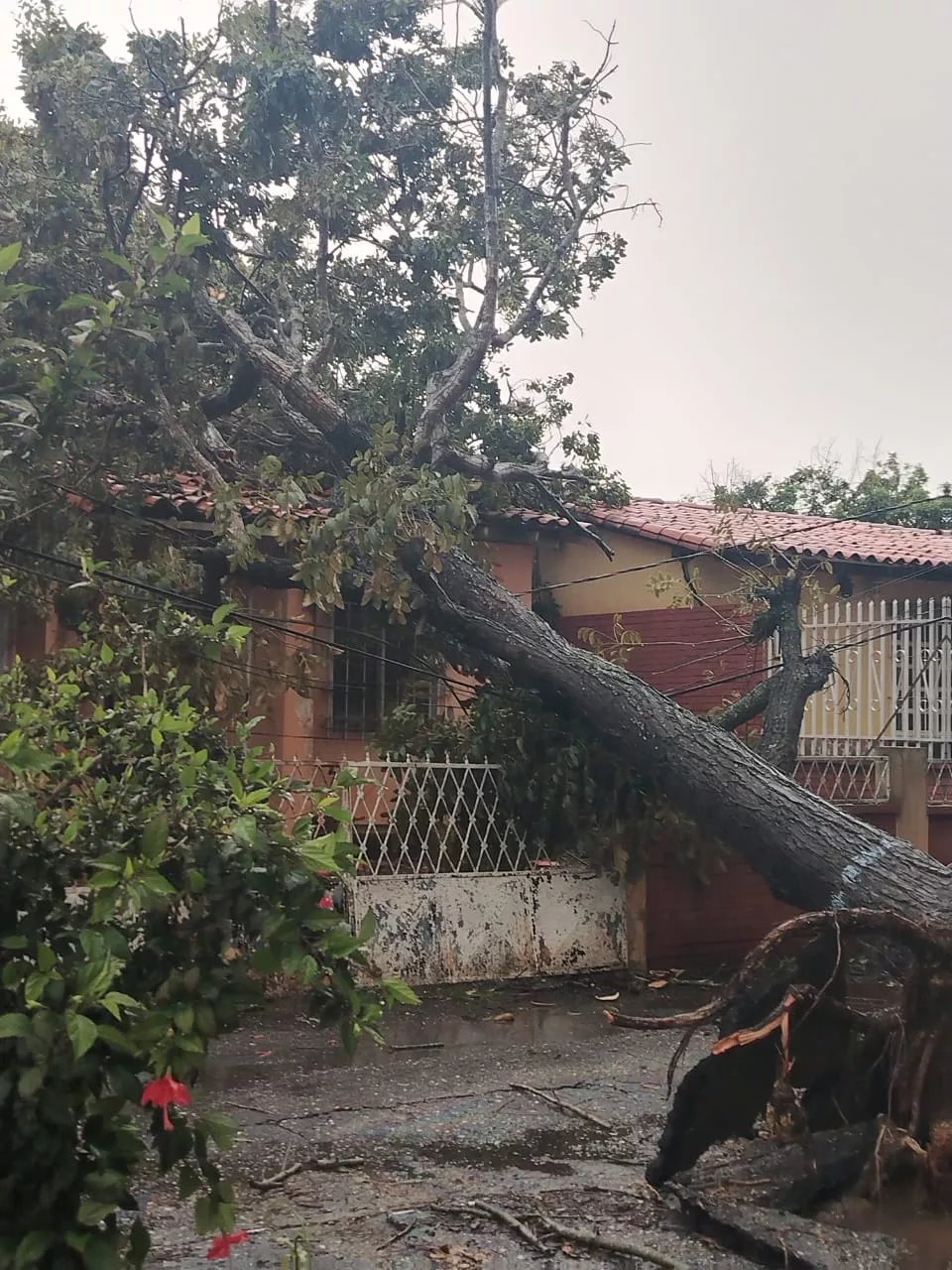 Múltiples afectaciones en Barquisimeto debido a las lluvias y a los fuertes vientos que azotaron a la ciudad este jueves 03 de septiembre
