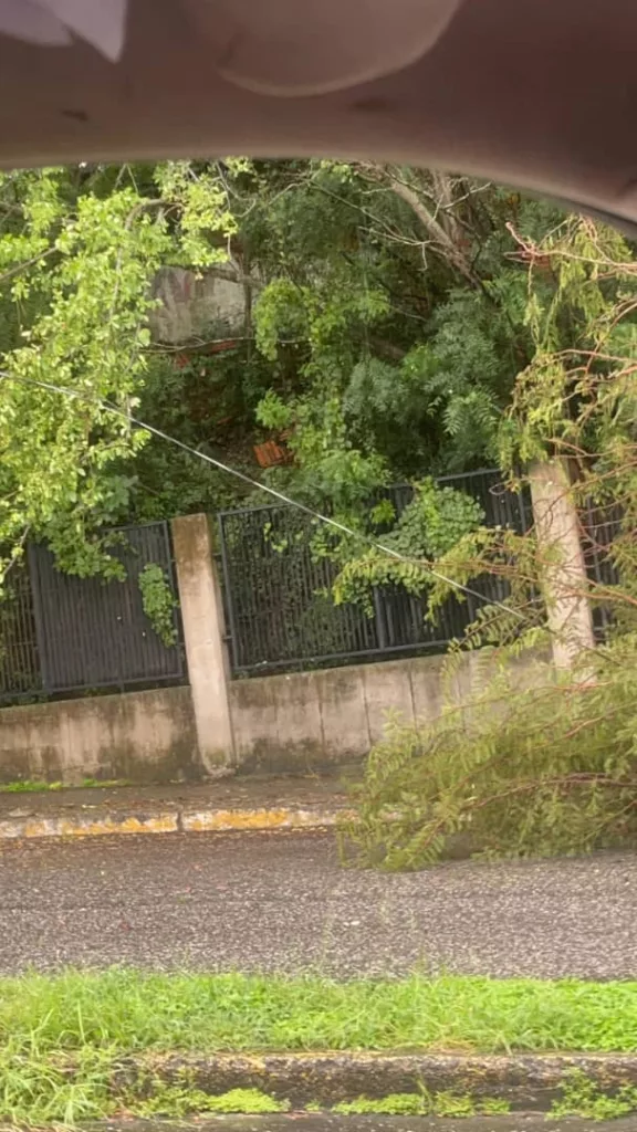 Los fuertes vientos generaron un colapso en la ciudad. Hay diversas zonas afectadas por las lluvias