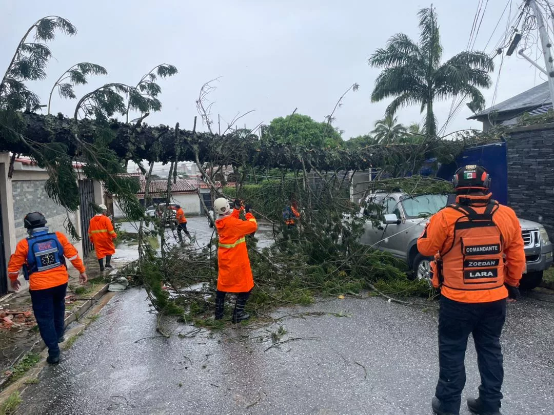 Protección Civil reporta 36 árboles caídos y afectaciones por lluvias en Barquisimeto y Palavecino