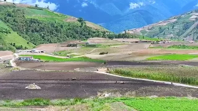WhatsApp Video 2026 09 22 at 11.45.18 AM.mp4 snapshot 00.00.312