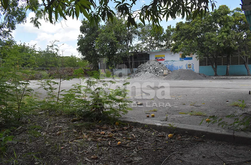 escuelas 378