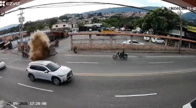 Daños materiales, un herido y el susto de los vecinos dejó rotura de tubo matriz en Las Vegas de Táriba en Táchira