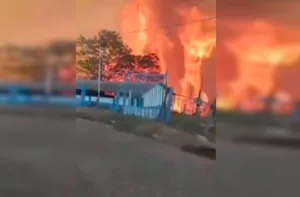Incendio forestal en el municipio Torres