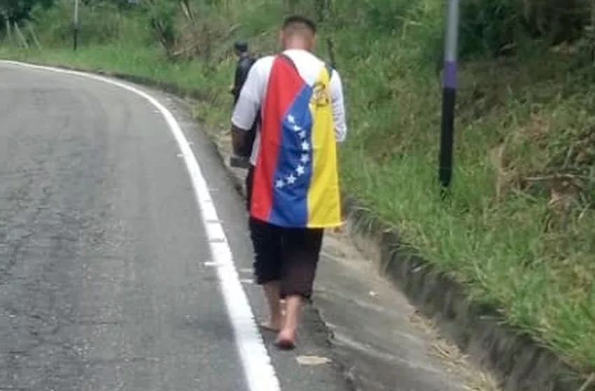 santo 7