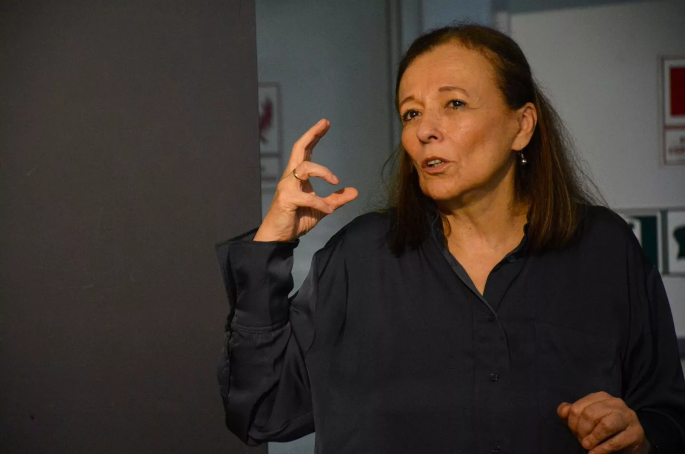 sofia macher, presidente de presidenta de la Misión Independiente de Determinación de los Hechos sobre Venezuela, sobre la libertad de expresión en el país