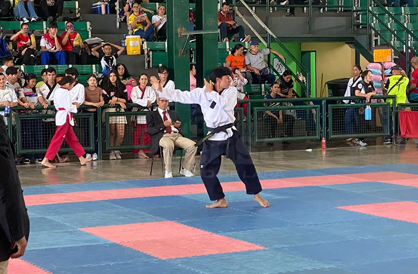 taekondo 6