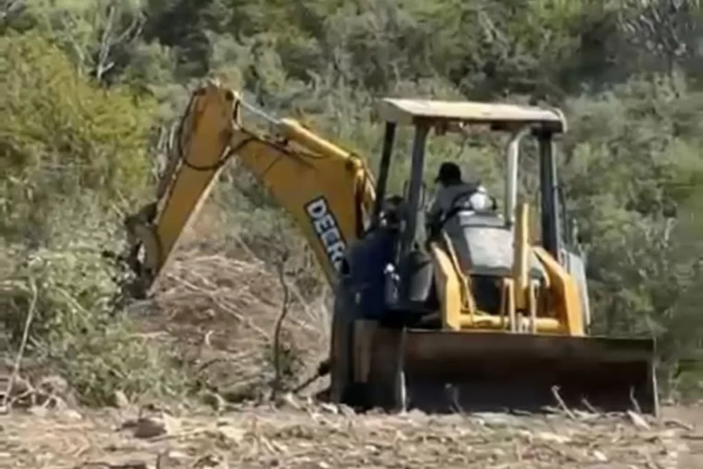 Tala masiva amenaza los alrededores de Loma de León