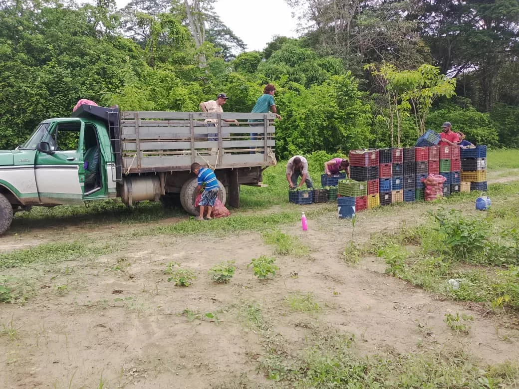 Productores en alerta por daño en la vía hacia totoremo