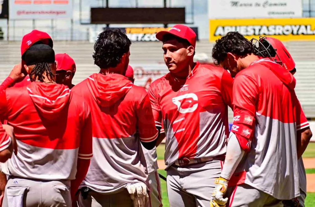 cardenales 6