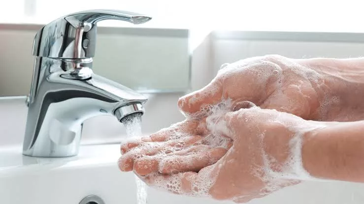 Vida Sana: Lavado de manos evita parasitosis e infecciones virales