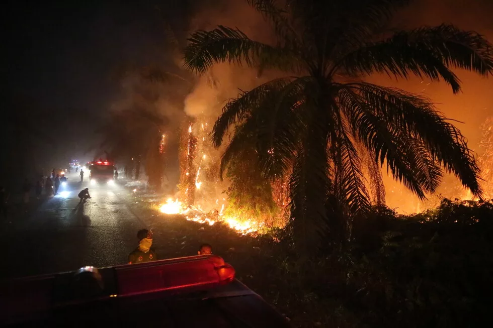 Más de dos millones de hectáreas consumidas por incendios forestales
